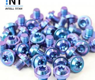 colorful titanium torx screws Factory price M10*10 cnc machine quality titanium screws motorcycles titanium torx head screw