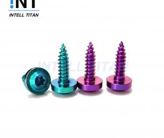 Gr5 titanium motorcycle bolts self taping bolt with anodize purple