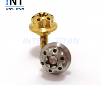 Titanium Gr5 M6 *1.0 customized torx head screws for MOTORCYCLE 